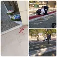 انفجاری خونین در یک قبرستان در جده