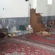پناه دادن یک سگ در مسجد توسط سیل‌زدگان +عکس