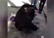 مهرداد سپهری جوان مشهدی معتاد بود/ او با پلیس درگیر و فوت شد