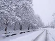 بارش سنگین برف در محور‌های البرز