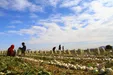 بی توجهی استاندار سیستان و بلوچستان به صحبت‌های یک کشاورز +فیلم