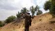 ضرب و شتم یک جنگلبان توسط قاچاقچی چوب