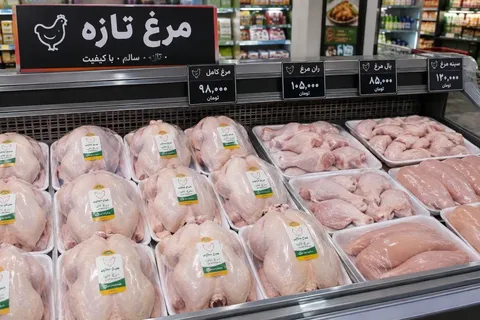 قیمت مرغ بازهم گران شد
