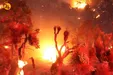 آتشسوزی در جنگل ملی کالیفرنیا