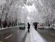 شهردار تهران: خیابان ولیعصر بزودی ثبت جهانی می‌‌شود