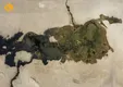 هورالعظیم در آستانه نابودی