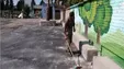 کمبود ۴۰ هزار نیروی سرایدار در مدارس کشور!